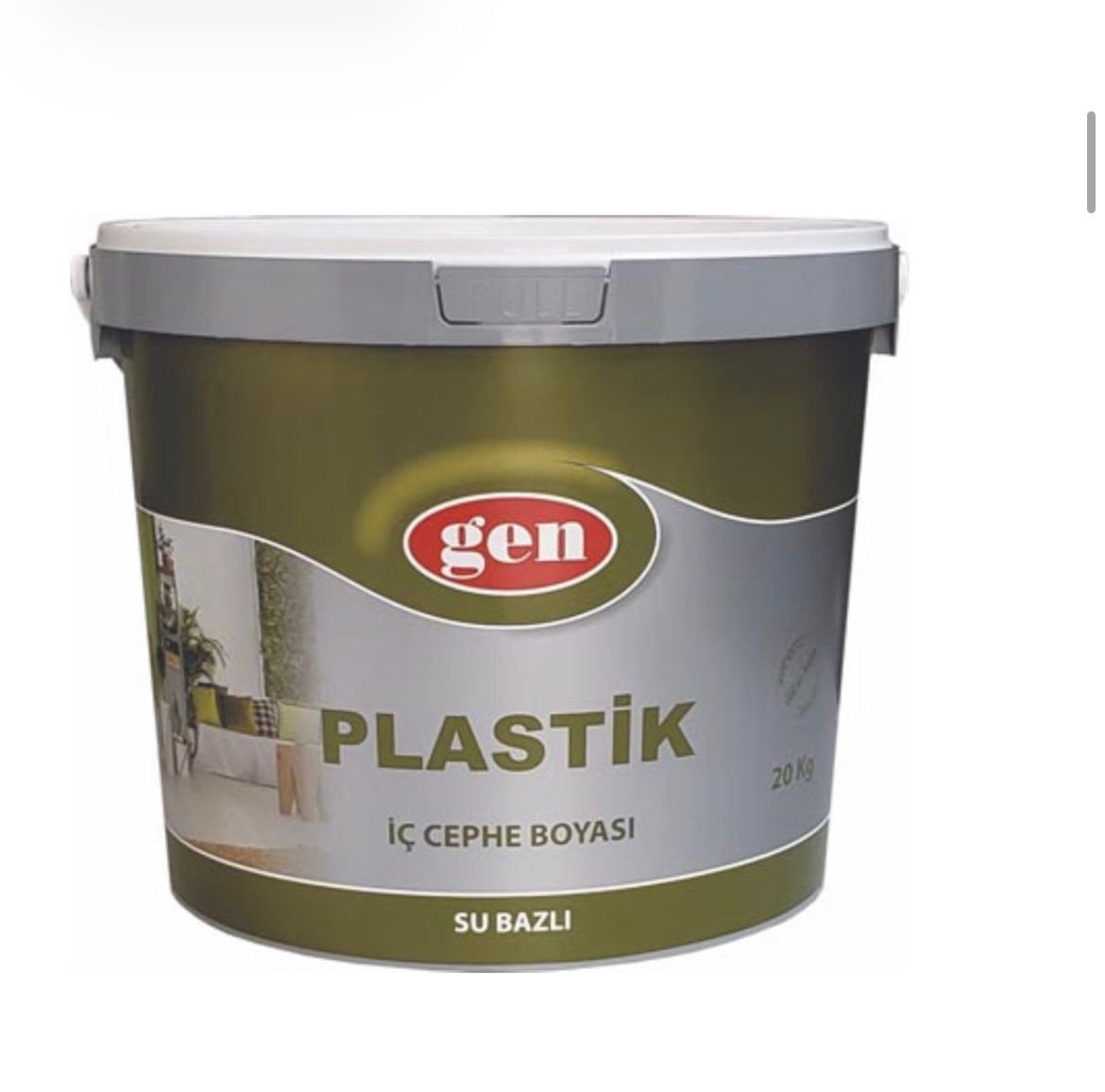 Pintura Plástica Estándar