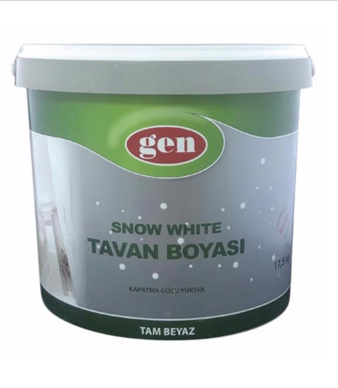 Pintura para Techos Blanco Nieve